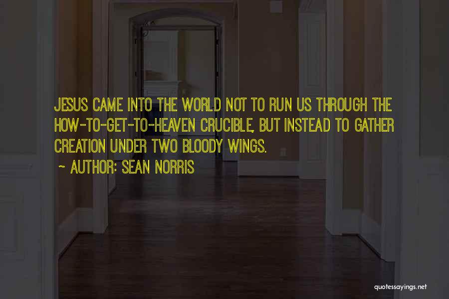 Under Wings Quotes By Sean Norris