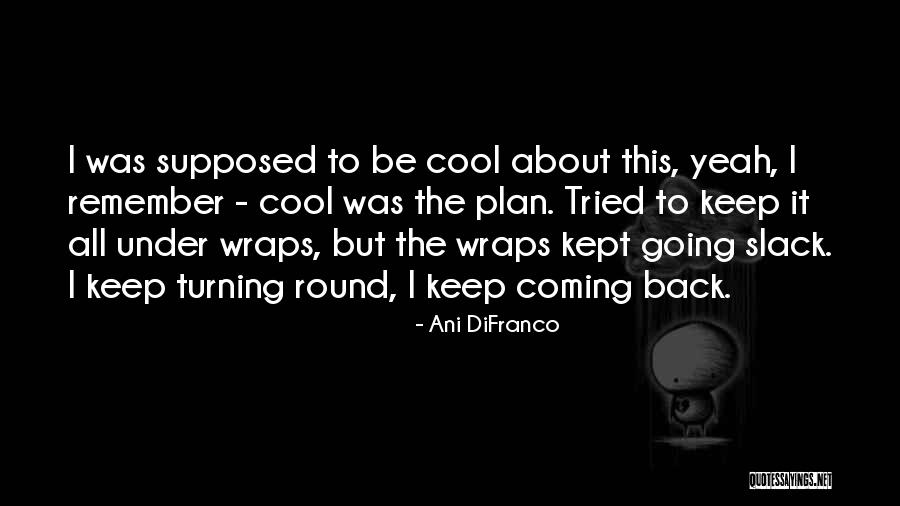 Under Wraps Quotes By Ani DiFranco