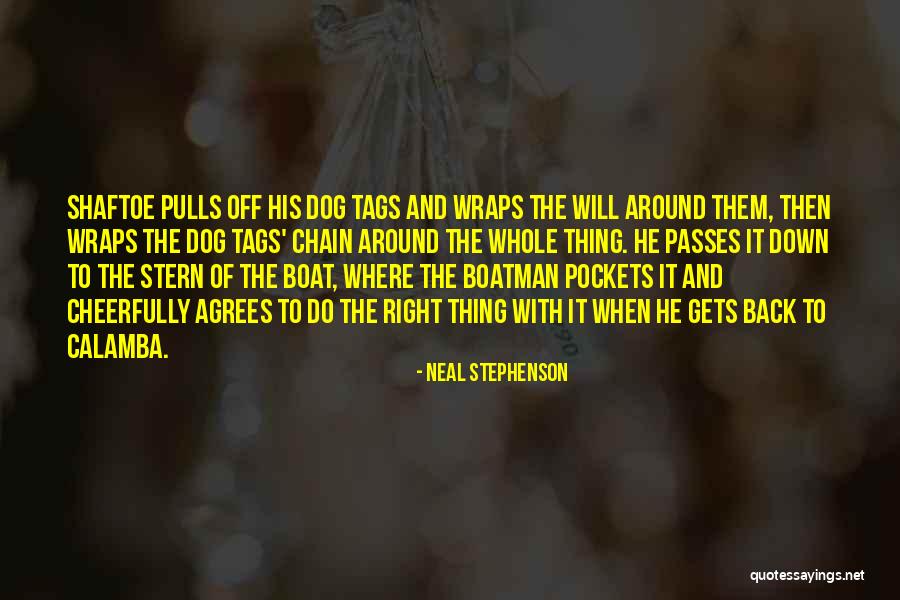 Under Wraps Quotes By Neal Stephenson