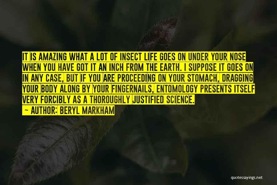 Under Your Nose Quotes By Beryl Markham