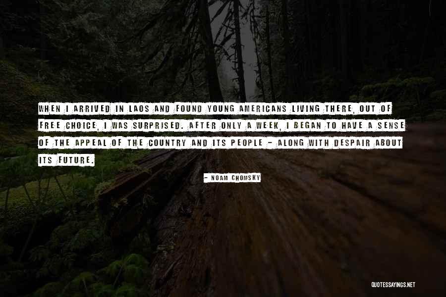 Undercapitalization Theory Quotes By Noam Chomsky Undercapitalization Theory Quotes By Noam Chomsky