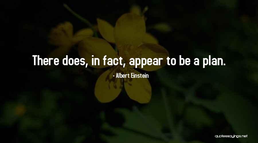 Undercoat Brush Quotes By Albert Einstein Undercoat Brush Quotes By Albert Einstein