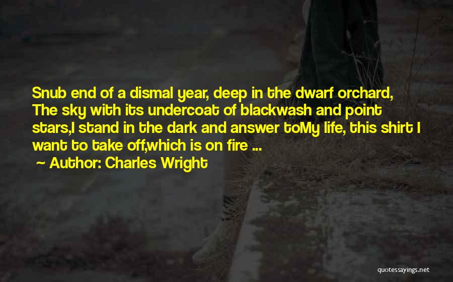 Undercoat Quotes By Charles Wright