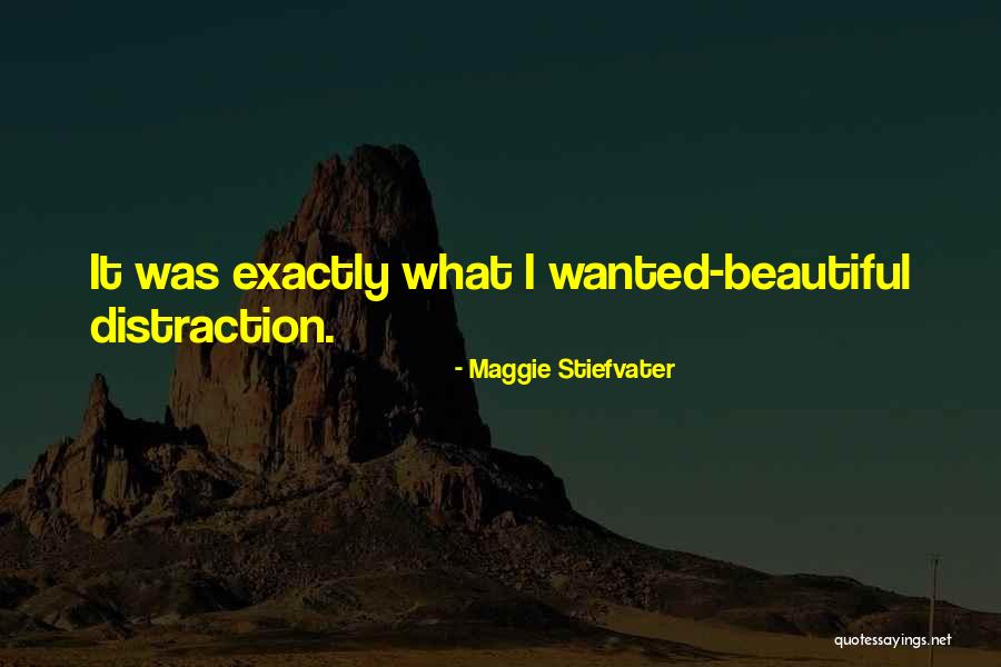 Undercover Tourist Quotes By Maggie Stiefvater Undercover Tourist Quotes By Maggie Stiefvater
