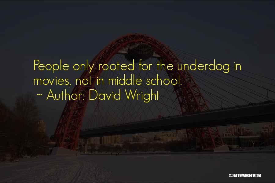 Underdog Quotes By David Wright