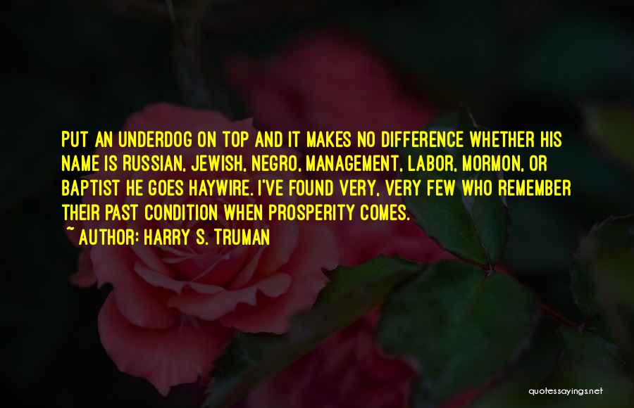 Underdog Quotes By Harry S. Truman