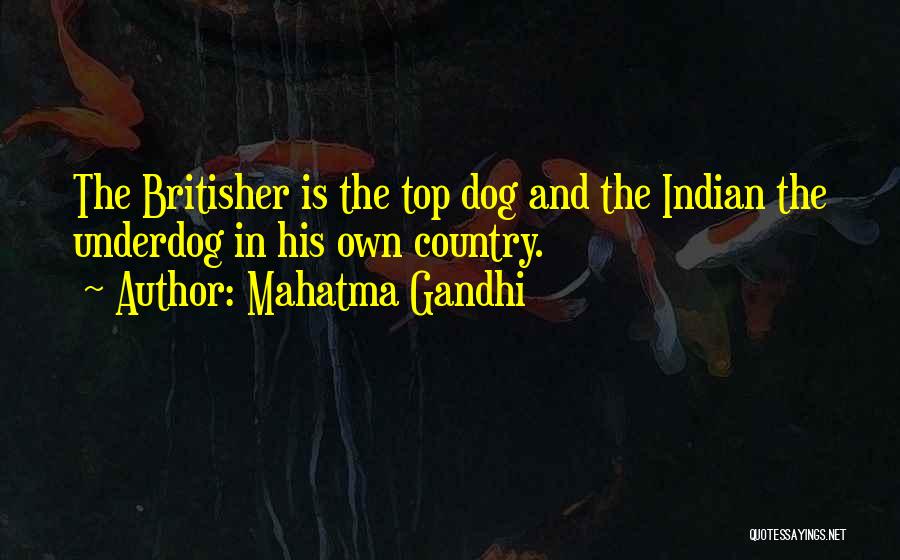 Underdog Quotes By Mahatma Gandhi