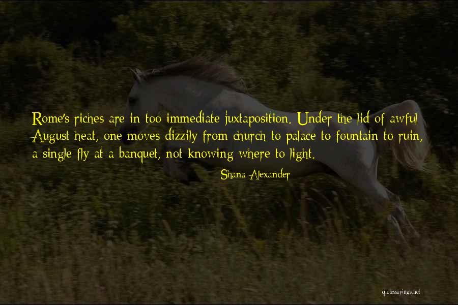 Underemployed Quotes By Shana Alexander Underemployed Quotes By Shana Alexander