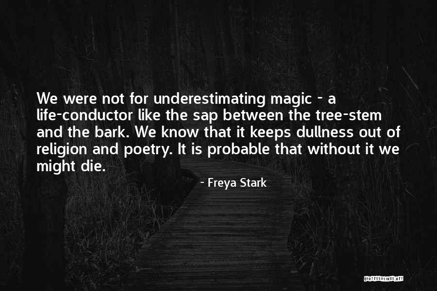 Underestimating Quotes By Freya Stark Underestimating Quotes By Freya Stark