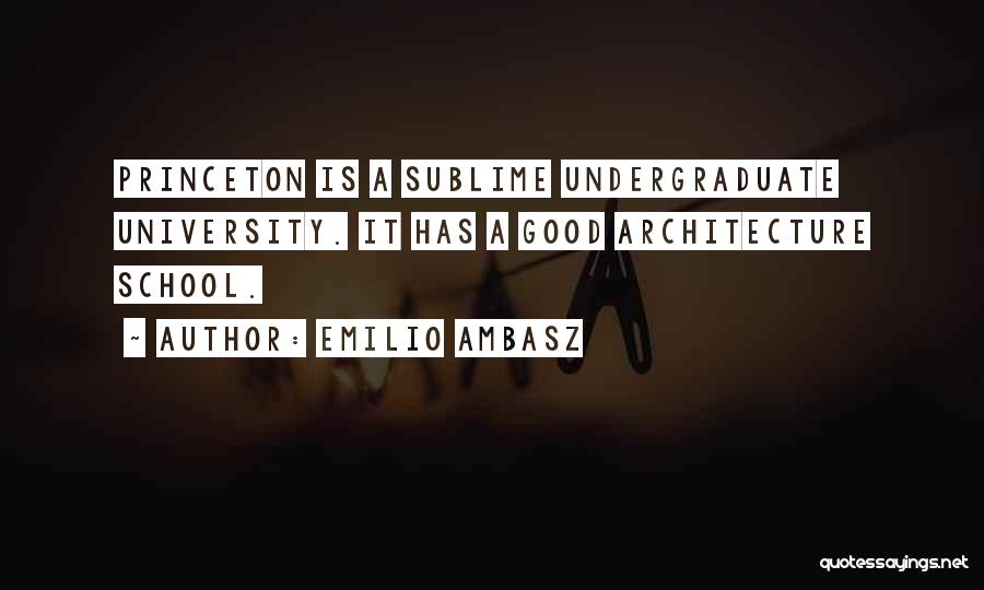 Undergraduate Quotes By Emilio Ambasz