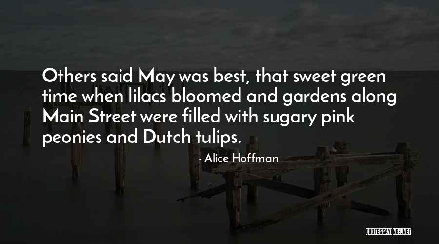 Undergraduates By College Quotes By Alice Hoffman Undergraduates By College Quotes By Alice Hoffman