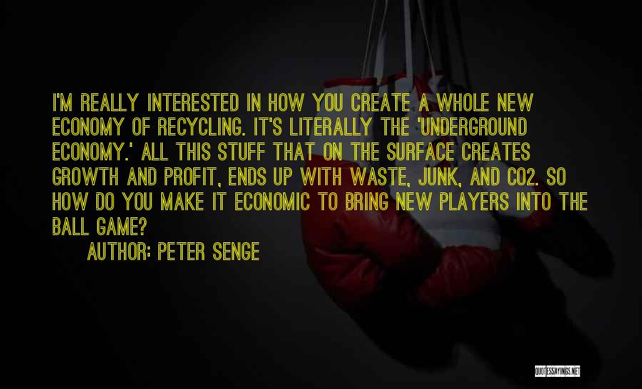 Underground Economy Quotes By Peter Senge