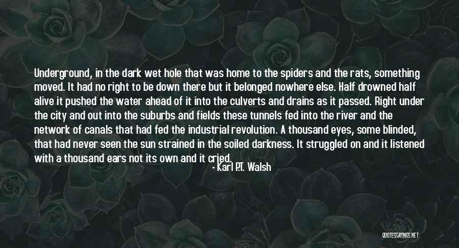 Underground River Quotes By Karl P.T. Walsh