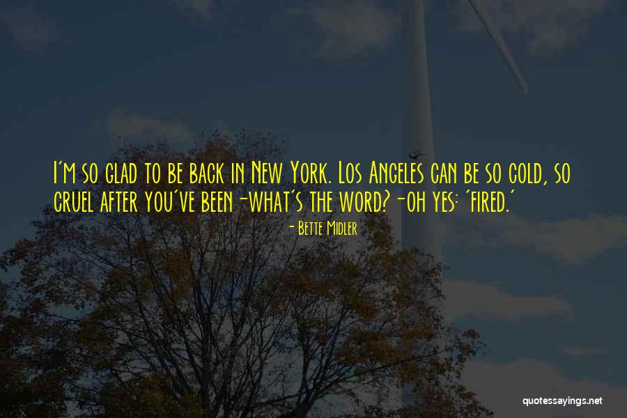 Underlayer Highlights Quotes By Bette Midler Underlayer Highlights Quotes By Bette Midler