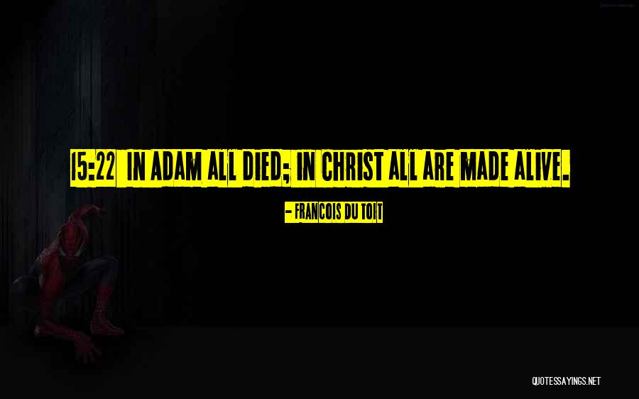 Underlayer Quotes By Francois Du Toit Underlayer Quotes By Francois Du Toit