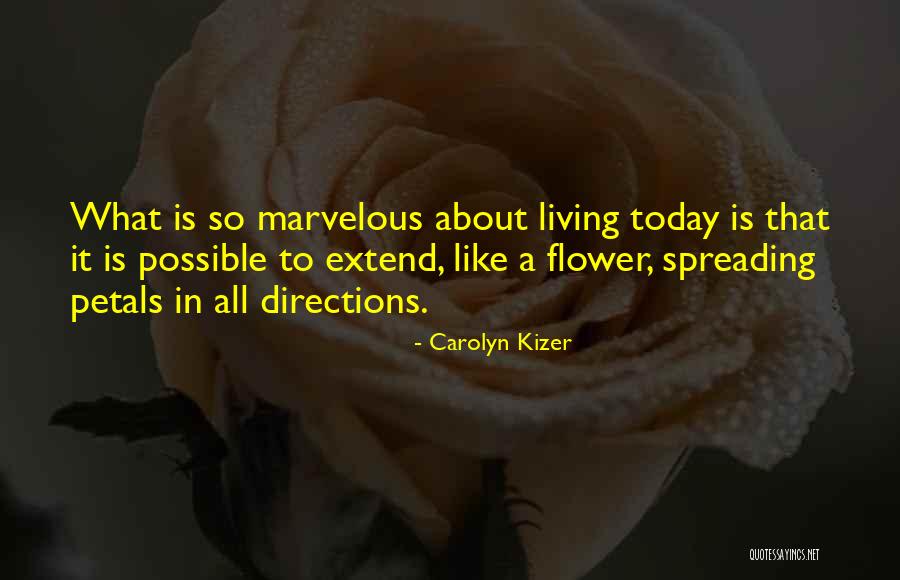 Underlings Homestuck Quotes By Carolyn Kizer Underlings Homestuck Quotes By Carolyn Kizer
