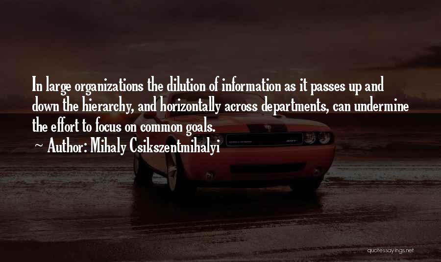 Undermine Quotes By Mihaly Csikszentmihalyi