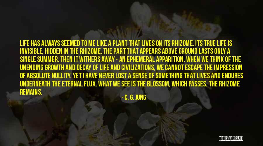 Underneath Can Be Hidden Quotes By C. G. Jung Underneath Can Be Hidden Quotes By C. G. Jung