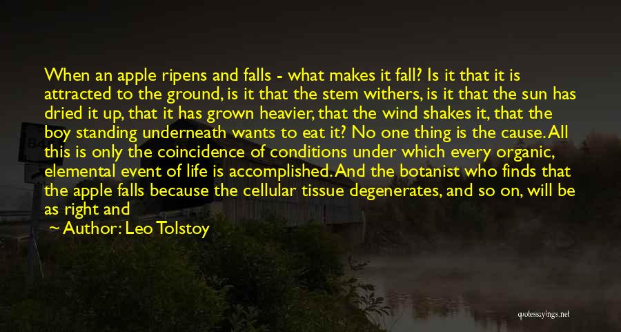 Underneath It All Quotes By Leo Tolstoy