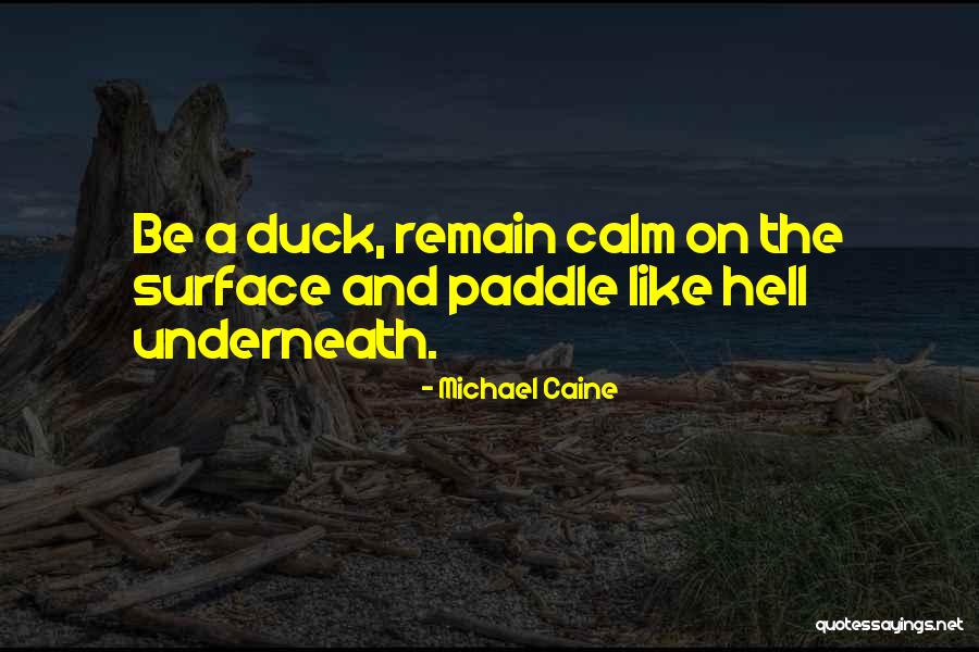Underneath The Surface Quotes By Michael Caine Underneath The Surface Quotes By Michael Caine
