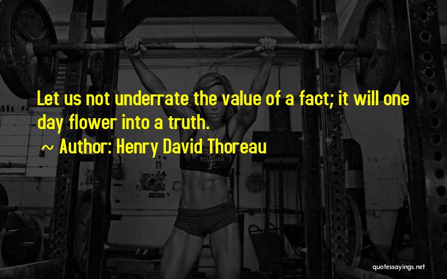 Underrate Me Quotes By Henry David Thoreau