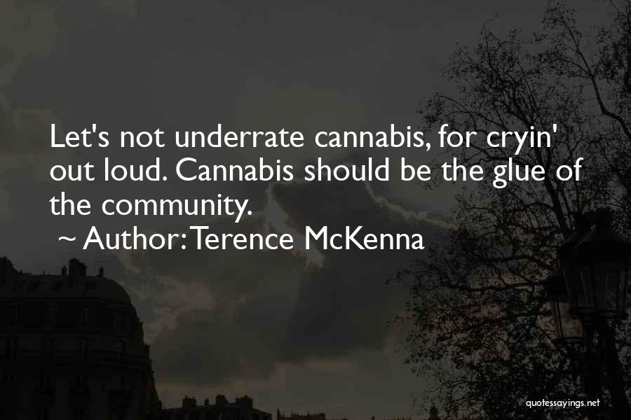 Underrate Me Quotes By Terence McKenna