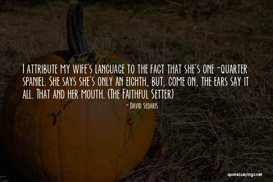 Underreported Quotes By David Sedaris Underreported Quotes By David Sedaris