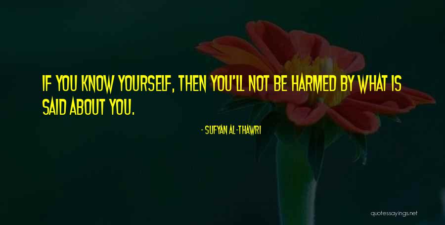 Underrepresentation Of Asians Quotes By Sufyan Al-Thawri Underrepresentation Of Asians Quotes By Sufyan Al-Thawri