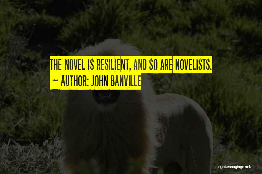 Undersigned Synonym Quotes By John Banville