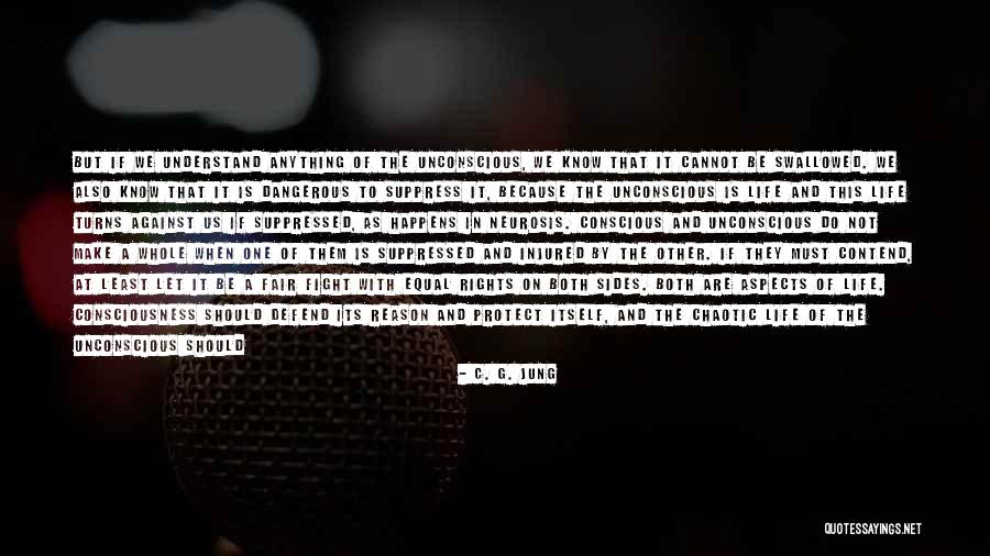 Understand It By And By Quotes By C. G. Jung