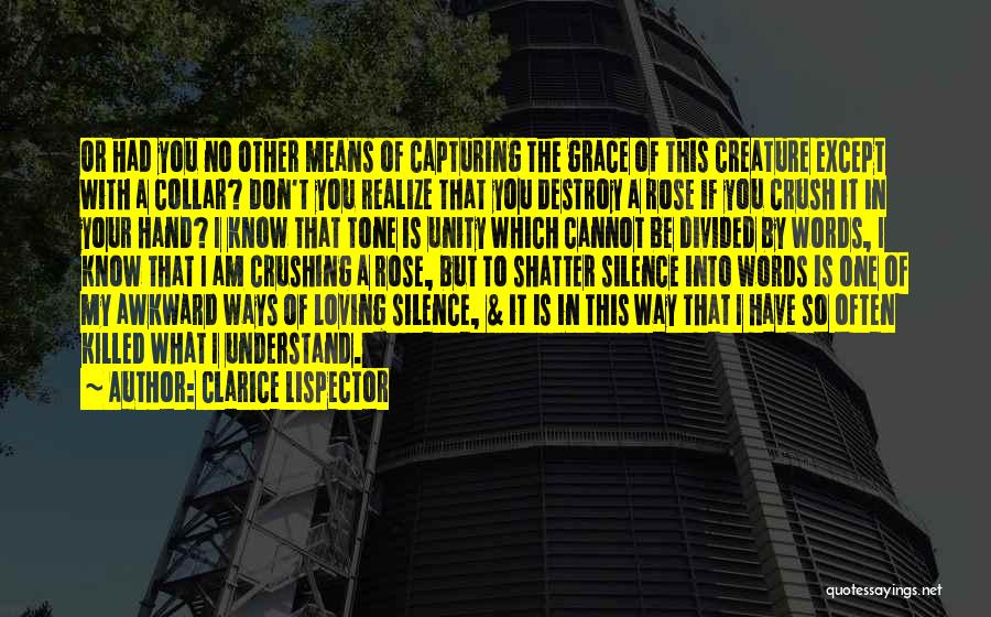 Understand Silence Quotes By Clarice Lispector