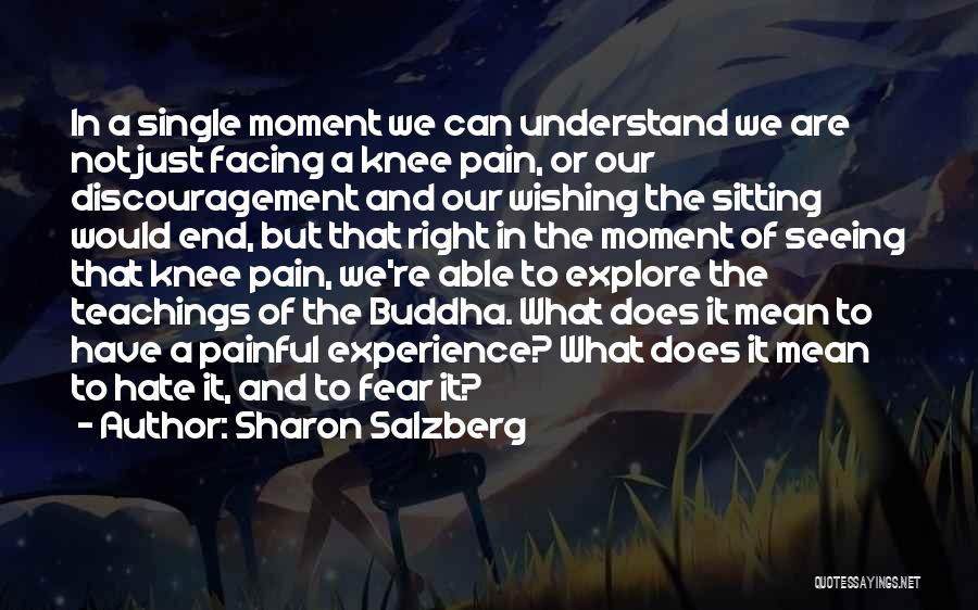 Understand The Pain Quotes By Sharon Salzberg