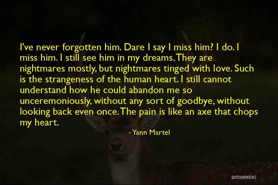 Understand The Pain Quotes By Yann Martel