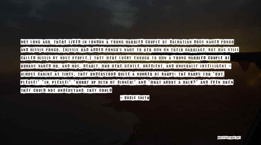 Understand Why Pets Quotes By Dodie Smith Understand Why Pets Quotes By Dodie Smith