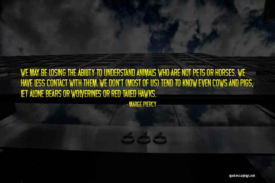 Understand Why Pets Quotes By Marge Piercy Understand Why Pets Quotes By Marge Piercy