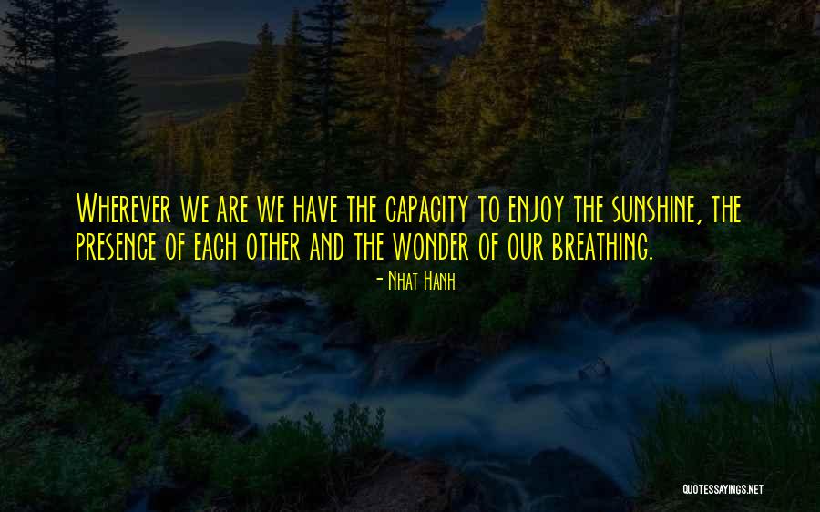 Understand Why Pets Quotes By Nhat Hanh Understand Why Pets Quotes By Nhat Hanh