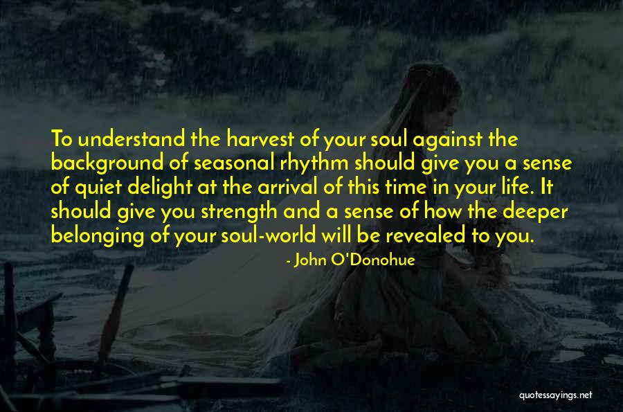 Understand Your Soul Quotes By John O'Donohue Understand Your Soul Quotes By John O'Donohue