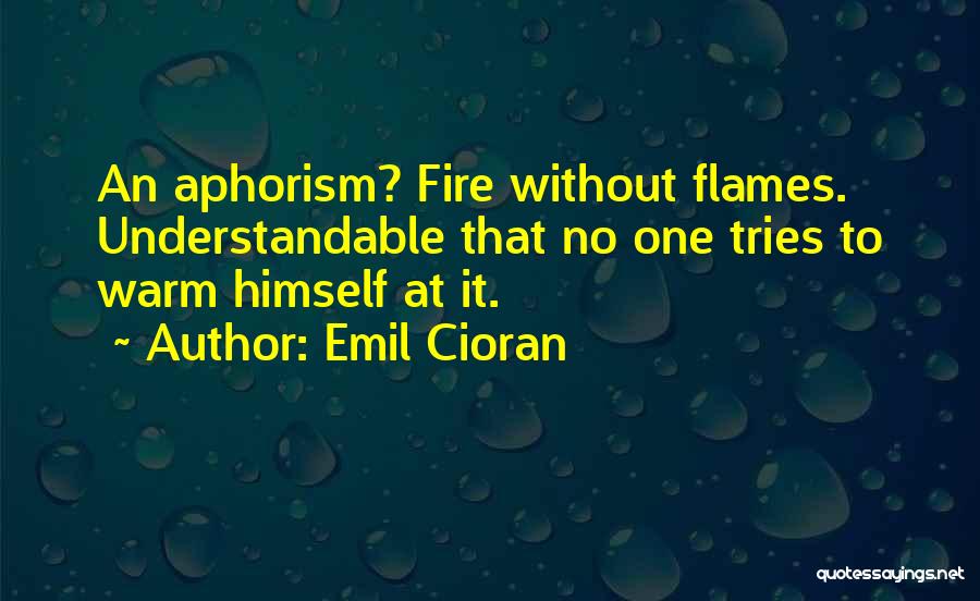 Understandable Quotes By Emil Cioran