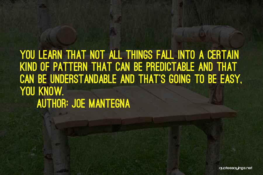 Understandable Quotes By Joe Mantegna