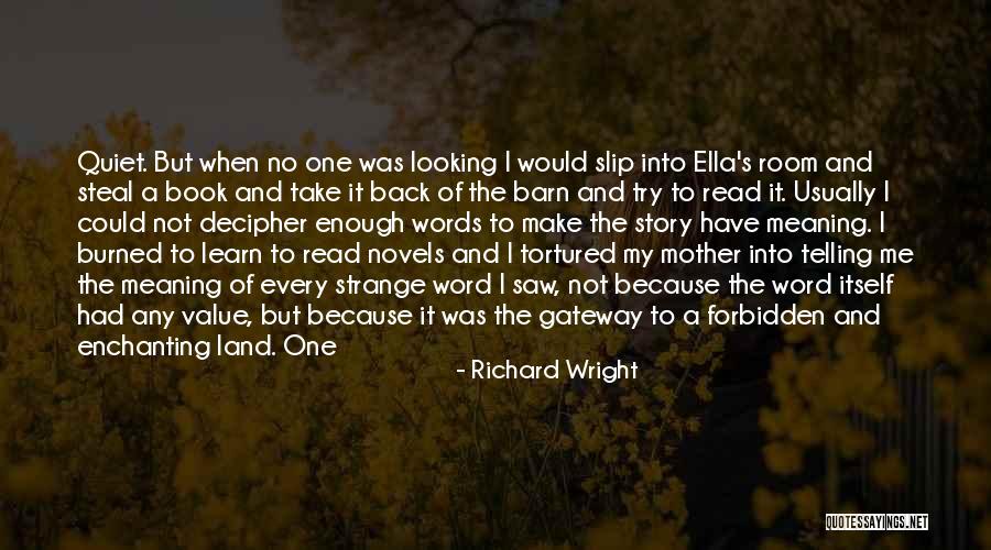 Understandable Synonym Quotes By Richard Wright