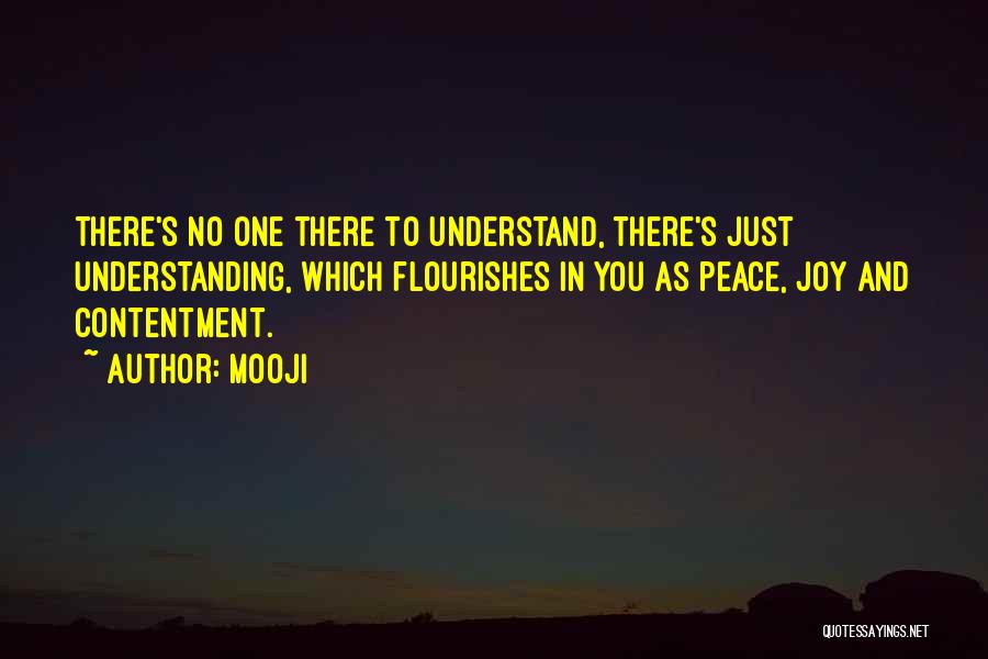 Understanding And Peace Quotes By Mooji