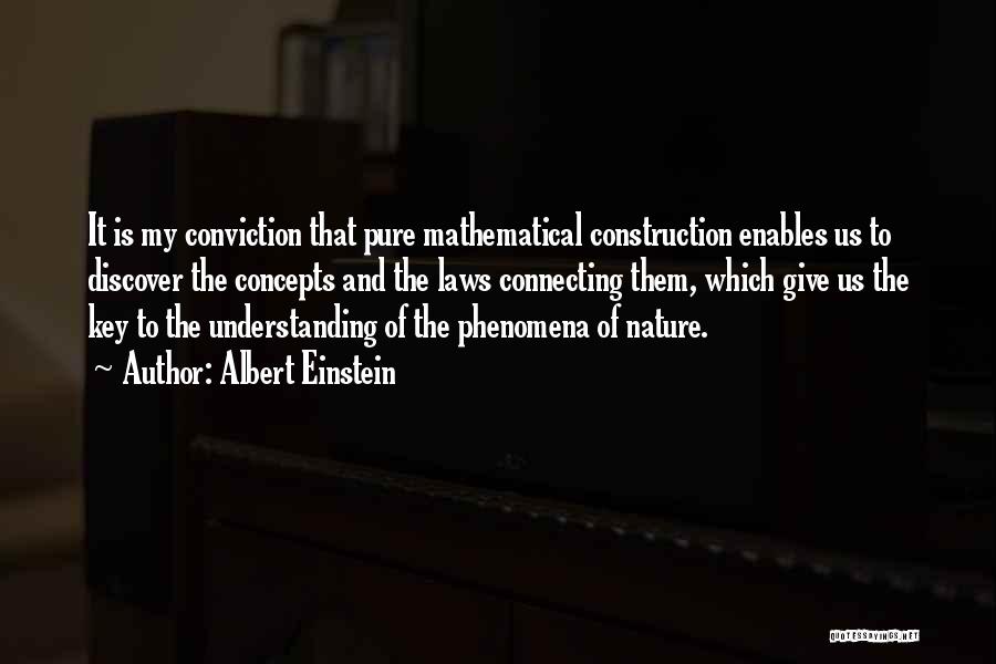 Understanding Concepts Quotes By Albert Einstein