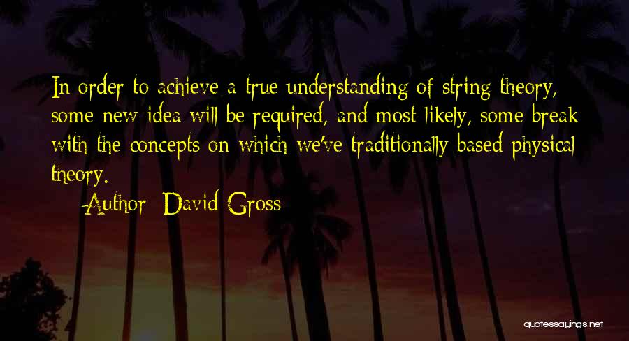 Understanding Concepts Quotes By David Gross
