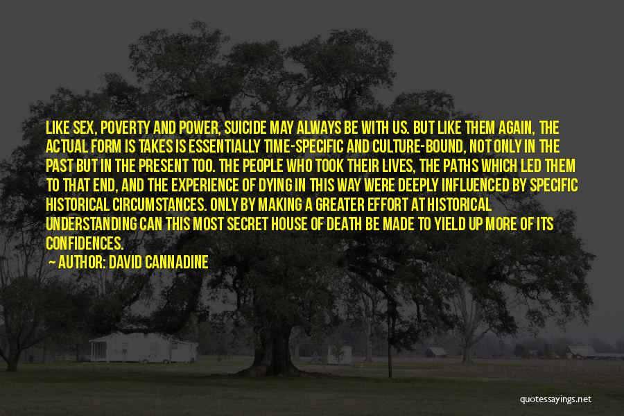 Understanding Culture Quotes By David Cannadine