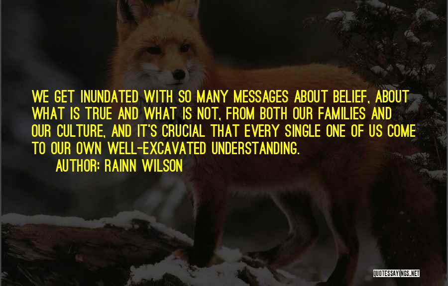 Understanding Culture Quotes By Rainn Wilson