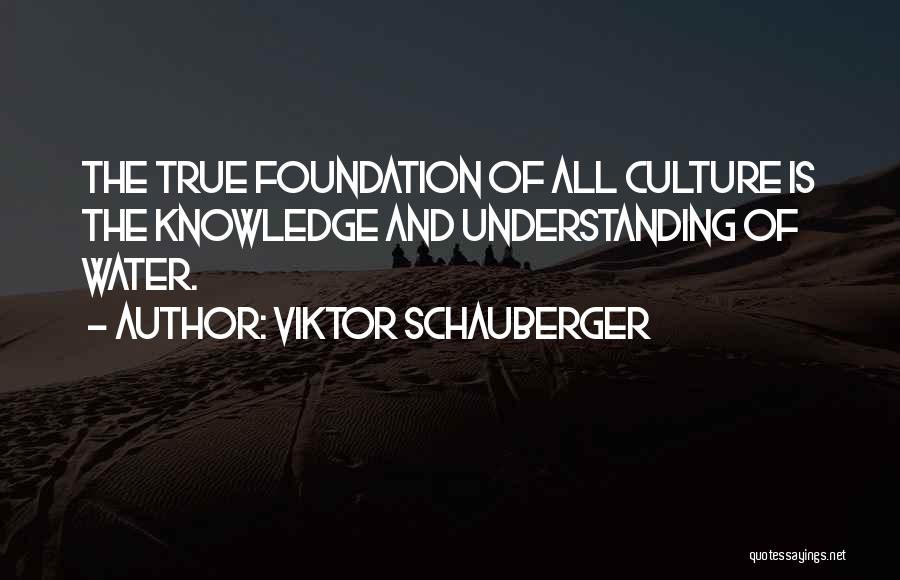 Understanding Culture Quotes By Viktor Schauberger