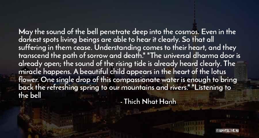 Understanding Death Quotes By Thich Nhat Hanh