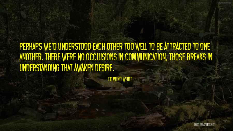 Understanding Each Other Quotes By Edmund White Understanding Each Other Quotes By Edmund White