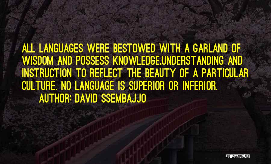 Understanding Other Languages Quotes By David Ssembajjo