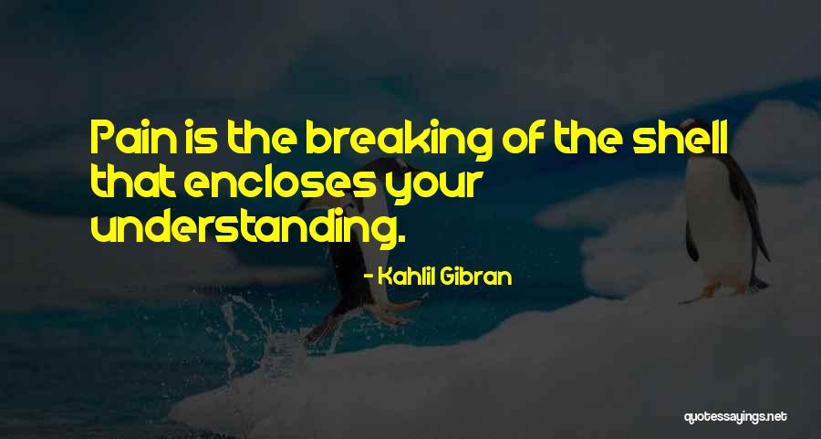 Understanding Others Pain Quotes By Kahlil Gibran